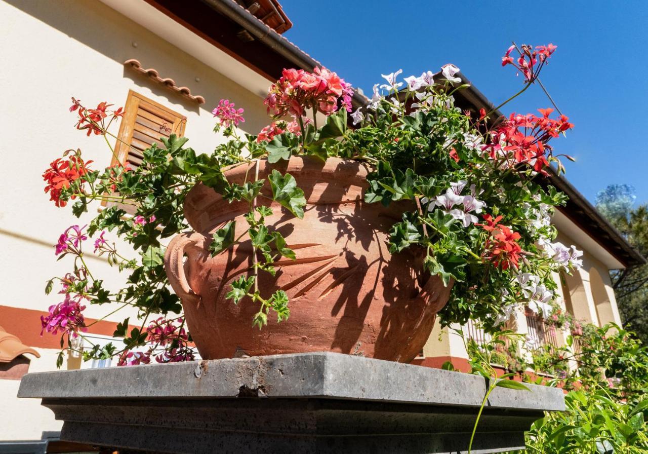 Casa Mariateresa Villa Vico Equense Exteriör bild